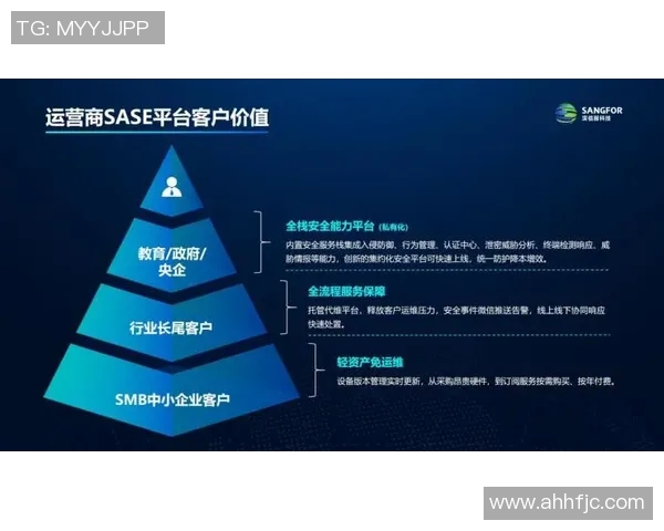 和平精英深度解析IG团队运营策略与成功经验分享